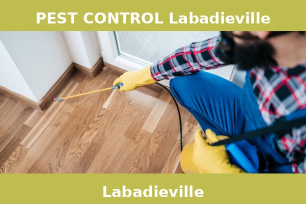 PEST CONTROL Labadieville
